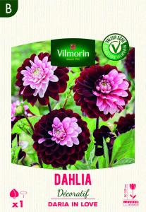 Dahlia Daria In Love (x1)
